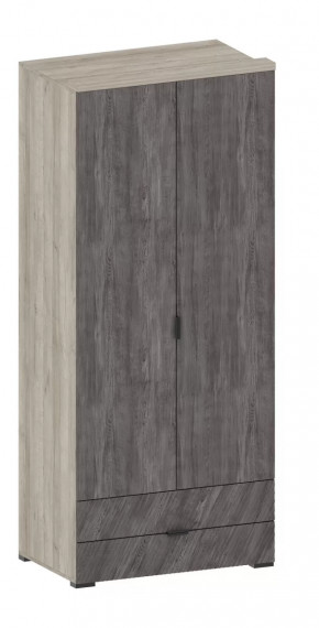 Шкаф Шаде ШК-2905 в Пыть-Яхе - pyt-yah.mebel-tymen.ru | фото