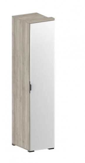 Шкаф Шаде ШК-2912 в Пыть-Яхе - pyt-yah.mebel-tymen.ru | фото