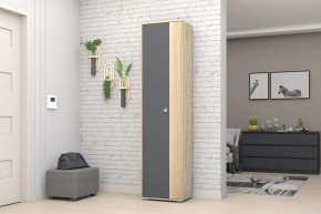 Шкаф ШК-01 Монако в Пыть-Яхе - pyt-yah.mebel-tymen.ru | фото