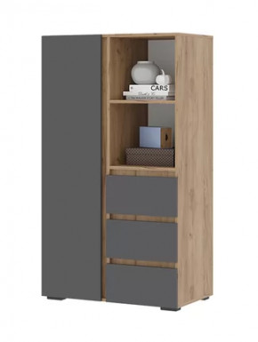 Шкаф ШК 03 Хелен Серый графит/дуб крафт золото в Пыть-Яхе - pyt-yah.mebel-tymen.ru | фото