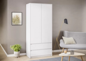 Шкаф ШК06-900 Айден Белое дерево в Пыть-Яхе - pyt-yah.mebel-tymen.ru | фото