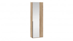 Шкаф угловой (366) с 1 зеркальной дверью «Порто» Яблоня Беллуно, Графит в Пыть-Яхе - pyt-yah.mebel-tymen.ru | фото