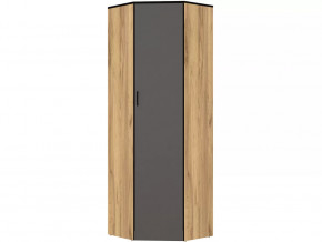 Шкаф угловой без зеркала Ольга-Лофт 9.1 в Пыть-Яхе - pyt-yah.mebel-tymen.ru | фото