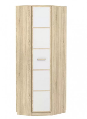 Шкаф угловой НМ 013.04-02 М Фанк в Пыть-Яхе - pyt-yah.mebel-tymen.ru | фото