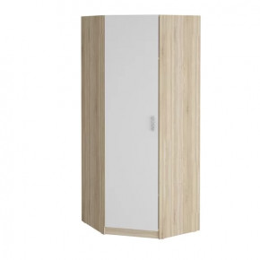 Шкаф угловой "Салоу" 900 в Пыть-Яхе - pyt-yah.mebel-tymen.ru | фото