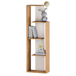 Стеллаж Бейсик 1 в Пыть-Яхе - pyt-yah.mebel-tymen.ru | фото