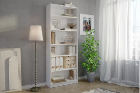 Стеллаж Бильд в Пыть-Яхе - pyt-yah.mebel-tymen.ru | фото