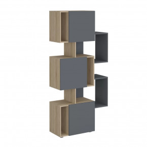 Стеллаж Дублин в Пыть-Яхе - pyt-yah.mebel-tymen.ru | фото