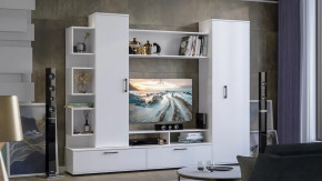 Стенка «Дакота» Белый Ясень в Пыть-Яхе - pyt-yah.mebel-tymen.ru | фото