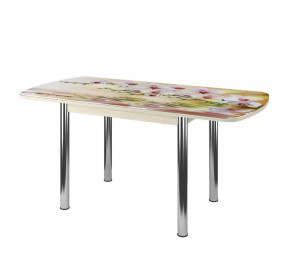 Стол Бостон-3 раздвижной, фотопечать Орхидея на воде/венге/хром брифинг в Пыть-Яхе - pyt-yah.mebel-tymen.ru | фото