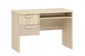 Стол для компьютера НМ 009.19-05 М2 Акварель в Пыть-Яхе - pyt-yah.mebel-tymen.ru | фото