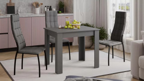 Стол обеденный «Промо» тип 1 Серый графит в Пыть-Яхе - pyt-yah.mebel-tymen.ru | фото