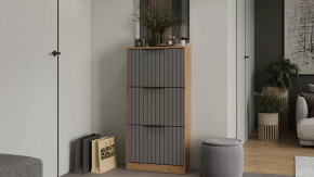 Тумба для обуви «Хилтон» Дуб Крафт золотой, Графит матовый в Пыть-Яхе - pyt-yah.mebel-tymen.ru | фото