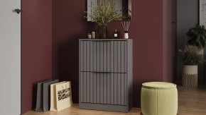 Тумба для обуви «Хилтон» Исп.2 Серый графит, Графит матовый в Пыть-Яхе - pyt-yah.mebel-tymen.ru | фото