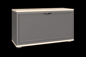 Тумба для обуви ТБ-1041 Карина в Пыть-Яхе - pyt-yah.mebel-tymen.ru | фото