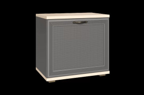 Тумба для обуви ТБ-1042 Карина в Пыть-Яхе - pyt-yah.mebel-tymen.ru | фото