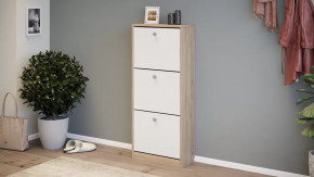 Тумба для обуви «Тетра» Тип 1 Исп. 2 в Пыть-Яхе - pyt-yah.mebel-tymen.ru | фото