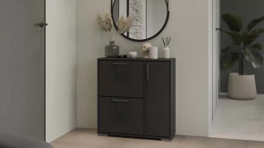 Тумба для обуви Тип 15 Антрацит в Пыть-Яхе - pyt-yah.mebel-tymen.ru | фото