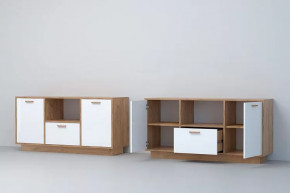 ЭГО Тумба Т-2  Дуб крафт золотой/Белый глянец Диал на цоколе в Пыть-Яхе - pyt-yah.mebel-tymen.ru | фото